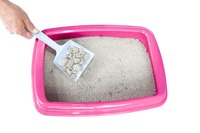 Cat litter dust can be a nuisance to you and to your cat.
