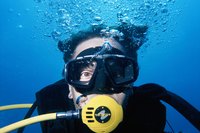 Learn to scuba dive at Caribbean resorts such as Buccaneers Creek in Martinique.