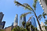 The weather in Los Angeles is warm and sunny year-round.
