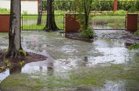 A septic alarm gives you advance warning of major problems.