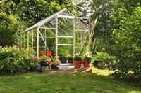 A small greenhouse in a backyard.
