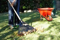 Reseed your Northwest lawn in late summer or mid-spring.