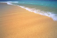 About Sand Flea Bites