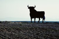 A bull can be inspiration for Halloween costumes ranging from serious to humorous.