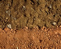 Soil leaching leads to serious nutrient depletion.
