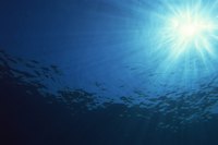 Marine geologists explore the earth's crust and layers undersea.
