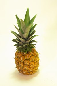Use a real pineapple as your model while you make a replica out of paper mache.
