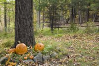Set up the dancing ghosts around a tree or light post.