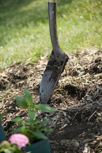Lighter mulches may blow away or become dislodged by animals.