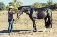 Horse owner petting animal's head in field.