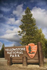 While Yellowstone in August is busy, solitude is never far away.