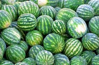 Seedless watermelons come from sterile triploid plants.