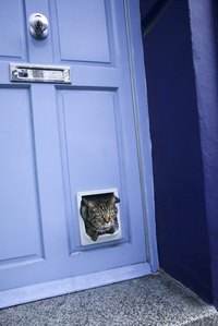 Flaps on pet doors undergo heavy wear and tear.