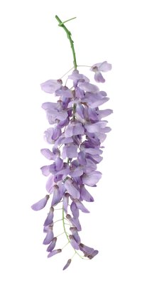 Use crepe paper to imitate the blooms on a wisteria tree.