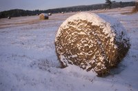 Round bales left in harsh weather without covers will spoil rapidly.