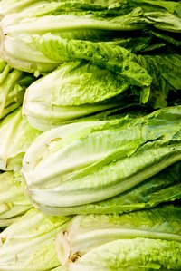 Prepare and store romaine lettuce to keep it from browning.