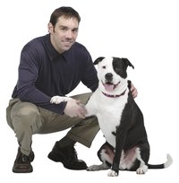 A raised paw can be a way of saying "hello" or "let's play."