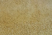 Bleach should not ruin stucco.