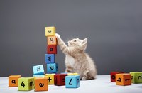 Those blocks are only fun when they fall, not because they're brightly colored.