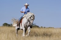 No matter your riding discipline, there are certain things every horse must learn.