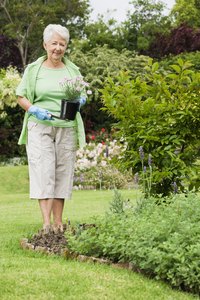 Scalloped edging can serve a practical and decorative role in the garden.