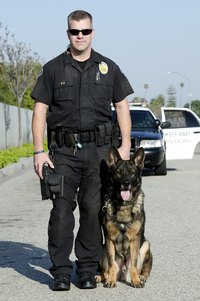 Official K-9 officers serve an important role in protecting the community.