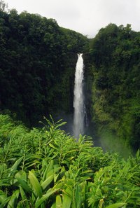 Hawaii's natural treasures are just a flight away from the west coast.