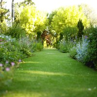 Adding bonemeal to your roses and bulbs helps to ensure strong, healthy growth.