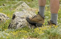 Hiker's feet wearing socks and boots on a trail.