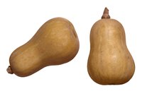 Butternut squash is often called bell squash because of its shape.