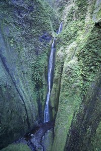 Massive Waimoku Falls awaits on the Road to Hana.