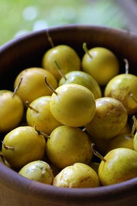 Granadillas produce fruit year all year.
