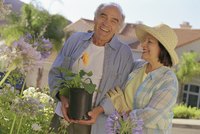 Replacement ratio and adjusted expenses are models used to determine target retirement income amounts.