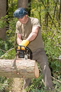 The type of chainsaw chain makes a difference in the way it cuts.