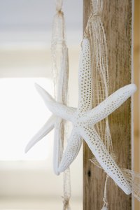 Because of their natural beauty, starfish work well as pieces of wall art.