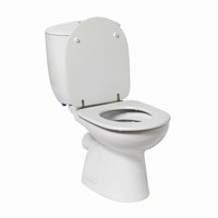 Not all toilet tanks are interchangeable.