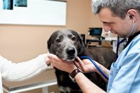 An annual physical can detect some early signs of vascular diseases.