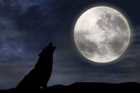 At night, dogs always seem to find something to bark about.