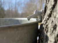 Each tap must be snug to prevent bacteria from entering.