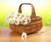 A basket of daisies offers hope and cheer.