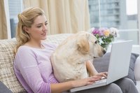 Woman typing on laptop with dog in her lap.