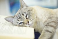 Lethargy is one of the symptoms of an insulin overdose.