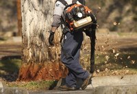 Don't just tune up your leaf blower in the fall; examine the tool every few months to ensure that it's working properly.