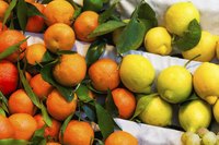 Citrus fruits on stand