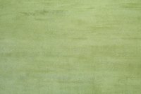 Olive green is a rich earthy green.