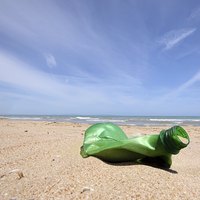 Some beachcombing finds are not pleasant.