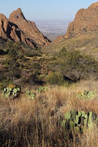 Hunt for gemstones near Big Bend National Park in West Texas.