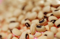 Foods like beans should be stored as dry as possible.