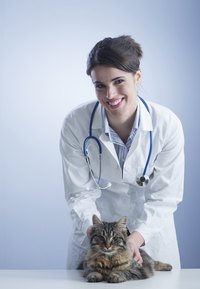 Avoid pyrethroid toxicity by using veterinarian-prescribed flea control products.