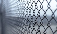 Close-up of chain-linked fence